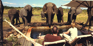 Somalisa Camp Hwange accommodation